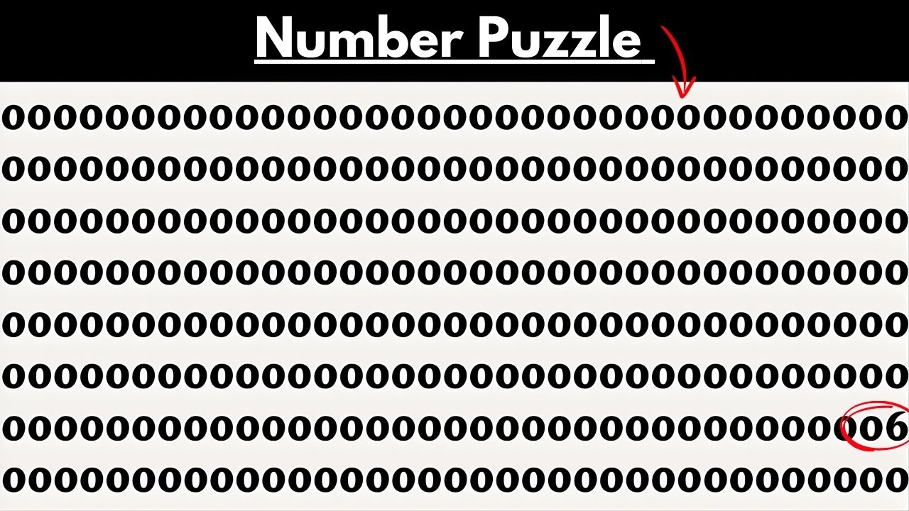 Number Puzzle